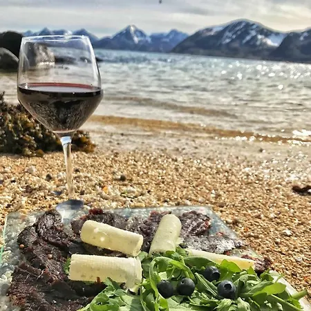 Myre Holiday Penthouse Myre (Nordland)